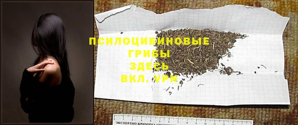 ECSTASY Елабуга