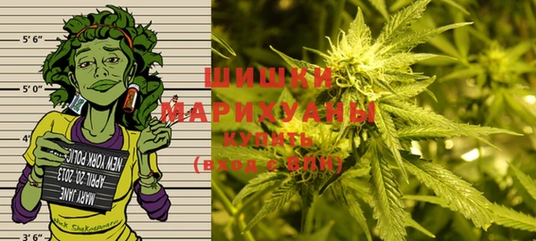 прущие крисы Ельня