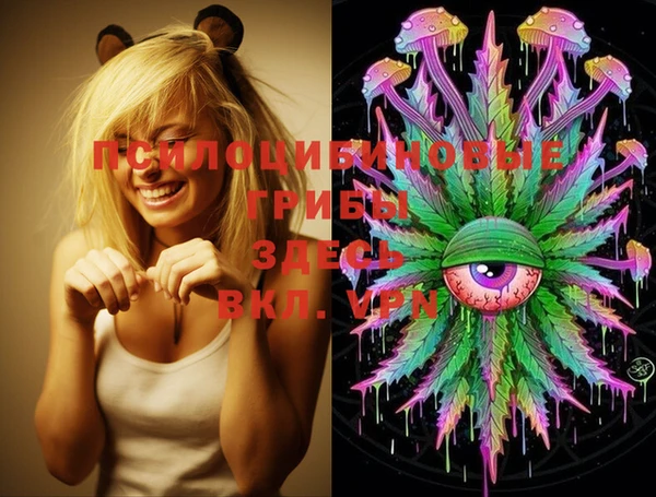 ECSTASY Елабуга
