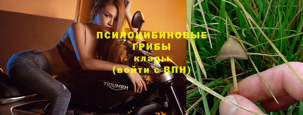 прущие крисы Ельня
