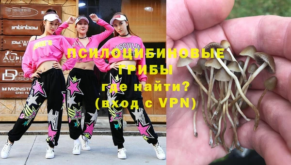 прущие крисы Ельня