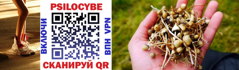 нарко площадка какой сайт  Северо-Курильск  Псилоцибиновые грибы Psilocybe  цены наркотик 